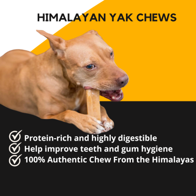 All Natural Himalayan Yak Cheese Dog Chews